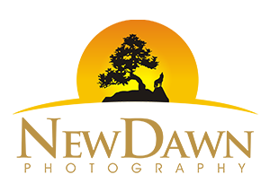 New Dawn Photography